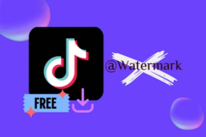 Fast TikTok Video Download